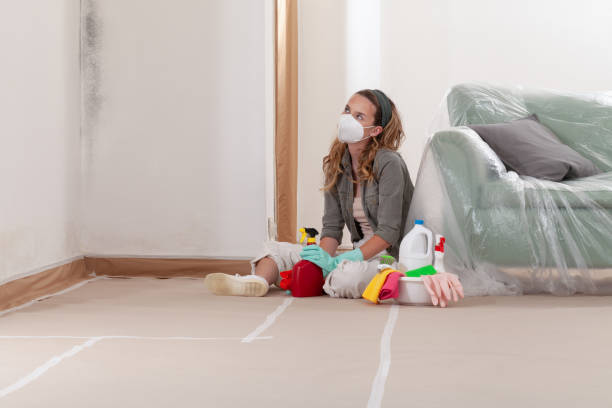 Reliable Black Mold Remediation contractor in Gibbsboro, NJ by 24 Hour Mold Removal